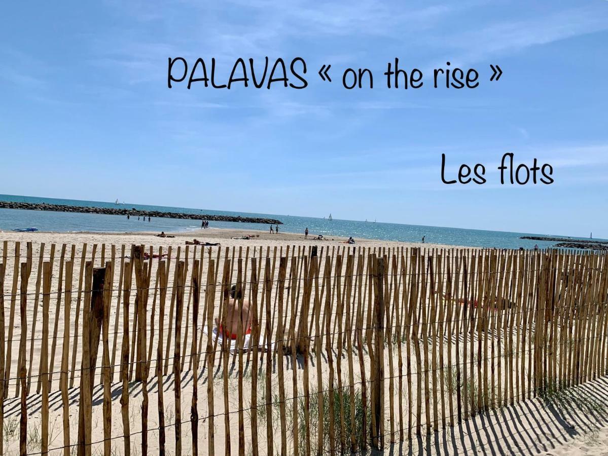 Amerique - Piscine&parking - Palavas-les-Flots